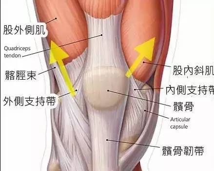 软组织劳损所引发的相关肌肉