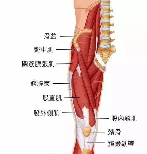 日久则会引发软骨退化，形成所谓髌骨化症。